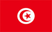 ثبت دامنه .tn / خرید دامنه .tn تونس Tunisia / خرید و ثبت دامنه .tn